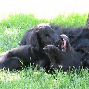 Meet your Posher, Lynn